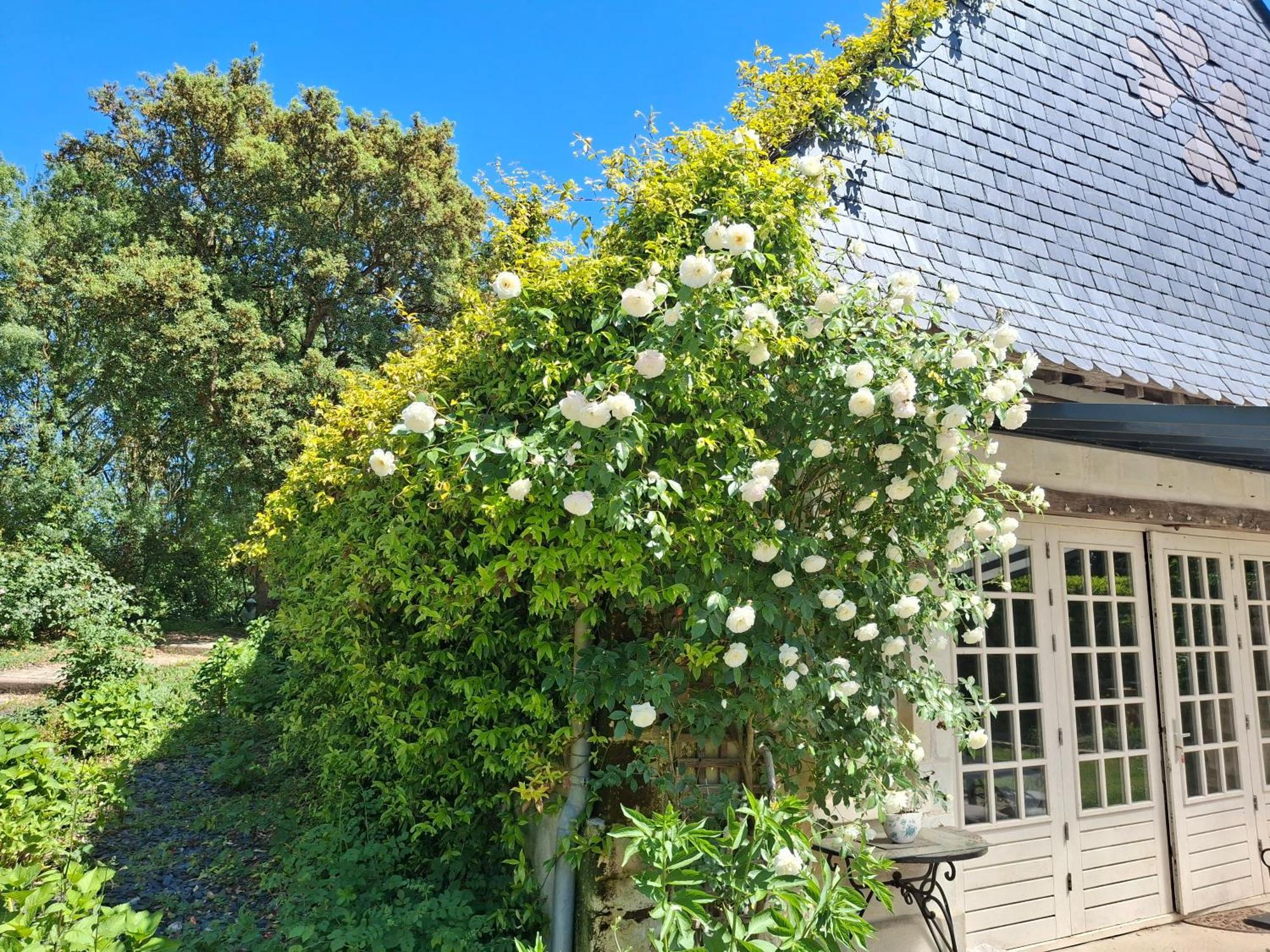 Le Mouton Bed & Breakfast Blaison Exterior photo